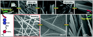 Graphical abstract: Controlled synthesis of organic single-crystalline nanowires via the synergy approach of the bottom-up/top-down processes