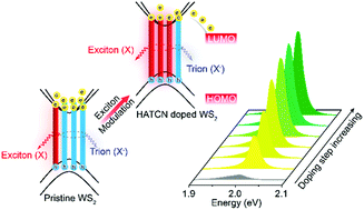 Graphical abstract: Bright monolayer tungsten disulfide via exciton and trion chemical modulations