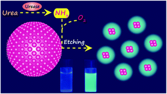 Graphical abstract: An ammonia-based etchant for attaining copper nanoclusters with green fluorescence emission