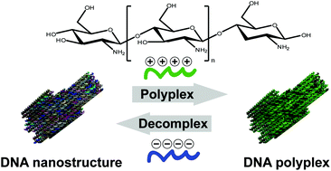 Graphical abstract: (Poly)cation-induced protection of conventional and wireframe DNA origami nanostructures