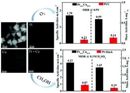 Graphical abstract: Composition-driven shape evolution to Cu-rich PtCu octahedral alloy nanocrystals as superior bifunctional catalysts for methanol oxidation and oxygen reduction reaction
