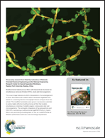 Graphical abstract: Back cover