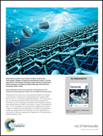 Graphical abstract: Inside back cover