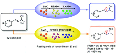 Graphical abstract: Enzymatic cascades for the stereo-complementary epimerisation of in situ generated epoxy alcohols