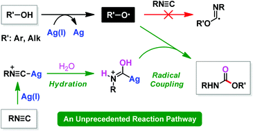 Graphical abstract: Silver-mediated radical coupling reaction of isocyanides and alcohols/phenols in the presence of water: unprecedented hydration and radical coupling reaction sequence