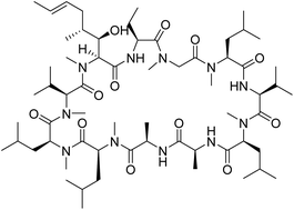 Graphical abstract: Comparative pharmacokinetic profile of cyclosporine (CsA) with a decapeptide and a linear analogue