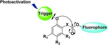 Graphical abstract: Syntheses and kinetic studies of cyclisation-based self-immolative spacers