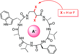 Graphical abstract: Cyclic peptide unguisin A is an anion receptor with high affinity for phosphate and pyrophosphate