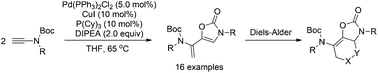 Graphical abstract: Pd/Cu-Catalyzed tandem head-to-tail dimerization/cycloisomerization of terminal ynamides for the synthesis of 5-vinyloxazolones