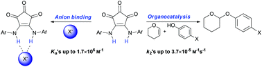 Graphical abstract: Croconamides: a new dual hydrogen bond donating motif for anion recognition and organocatalysis