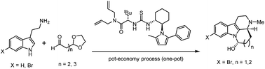 Graphical abstract: Enantioselective total synthesis of (+)-arborescidine C and related tetracyclic indole alkaloids using organocatalysis