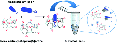 Graphical abstract: A water-soluble pillar[5]arene as a new carrier for an old drug