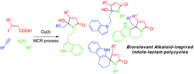 Graphical abstract: A tunable copper-catalyzed multicomponent reaction towards alkaloid-inspired indole/lactam polycycles