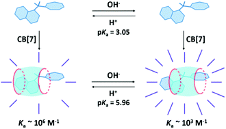 Graphical abstract: Fluorescence enhancement and pKa shift of a rho kinase inhibitor by a synthetic receptor