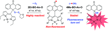 Graphical abstract: BODIPY blocked anthroxyl radicals: the substituent effect on reactivity and fluorescence turn-on detection of a hydroxyl radical