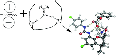 Graphical abstract: A cleft type receptor which combines an oxyanion hole with electrostatic interactions