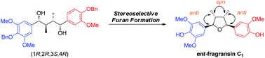 Graphical abstract: Asymmetric synthesis of ent-fragransin C1