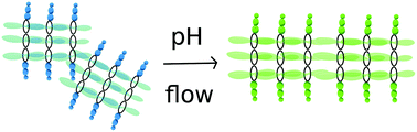 Graphical abstract: Control of the hierarchical assembly of π-conjugated optoelectronic peptides by pH and flow