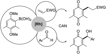Graphical abstract: Synthesis of functionalized alkyl substituted benzoquinones by Rh-catalyzed additions of boronic acids