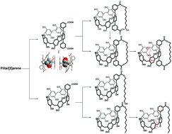 Graphical abstract: Bis- and mono(m-benzoic acid)-functionalized pillar[5]arenes