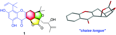 Graphical abstract: Neobraclactones A–C, three unprecedented chaise longue-shaped xanthones from Garcinia bracteata