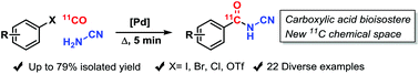 Graphical abstract: Palladium-mediated 11C-carbonylations using aryl halides and cyanamide