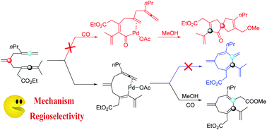 Graphical abstract: A theoretical study on the palladium-catalyzed oxidative carbocyclization–alkoxycarbonylation of bisallenes to construct seven-membered carbocycles assisted by olefins
