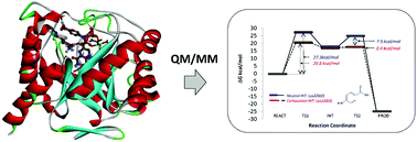 Graphical abstract: Exploring the catalytic mechanism of dihydropteroate synthase: elucidating the differences between the substrate and inhibitor