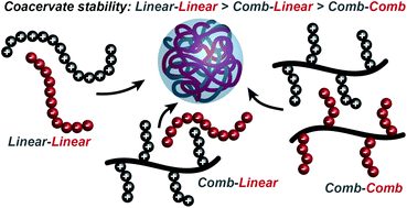 Graphical abstract: The effect of comb architecture on complex coacervation