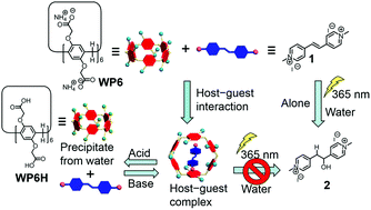 Graphical abstract: Controlling the photochemical reaction of an azastilbene derivative in water using a water-soluble pillar[6]arene