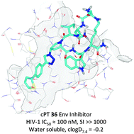 Graphical abstract: Chemical optimization of macrocyclic HIV-1 inactivators for improving potency and increasing the structural diversity at the triazole ring