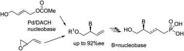 Graphical abstract: Palladium-catalyzed allylic amination: a powerful tool for the enantioselective synthesis of acyclic nucleoside phosphonates