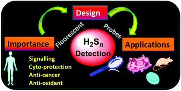Graphical abstract: Fluorescent probes for hydrogen polysulfides (H2Sn, n > 1): from design rationale to applications