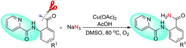 Graphical abstract: Copper-catalyzed transformation of ketones to amides via C(CO)–C(alkyl) bond cleavage directed by picolinamide