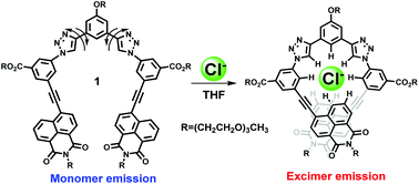 Graphical abstract: An aryl-triazole foldamer containing a 1,8-naphthalimide fluorescent motif for monitoring and enhancing the anion-induced folding