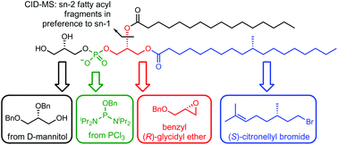 Graphical abstract: Total synthesis and mass spectrometric analysis of a Mycobacterium tuberculosis phosphatidylglycerol featuring a two-step synthesis of (R)-tuberculostearic acid