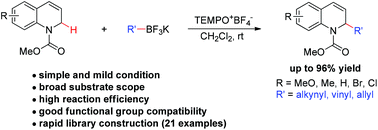 Graphical abstract: Oxidative C–H functionalization of N-carbamoyl 1,2-dihydroquinolines