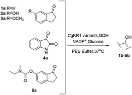 Graphical abstract: Enantioselective bioreduction of benzo-fused cyclic ketones with engineered Candida glabrata ketoreductase 1 – a promising synthetic route to ladostigil (TV3326)