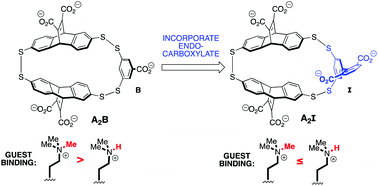 Graphical abstract: Optimization of a synthetic receptor for dimethyllysine using a biphenyl-2,6-dicarboxylic acid scaffold: insights into selective recognition of hydrophilic guests in water