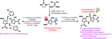 Graphical abstract: Palladium-catalyzed, unsymmetrical homocoupling of thiophenes via carbon–sulfur bond activation: a new avenue to homocoupling reactions