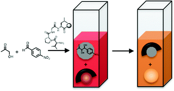 Graphical abstract: A colorimetric competitive displacement assay for the evaluation of catalytic peptides