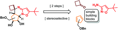 Graphical abstract: Novel spirocyclic systems via multicomponent aza-Diels–Alder reaction