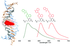 Graphical abstract: Red-emissive triplex-forming PNA probes carrying cyanine base surrogates for fluorescence sensing of double-stranded RNA