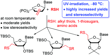 Graphical abstract: A low-temperature, photoinduced thiol–ene click reaction: a mild and efficient method for the synthesis of sugar-modified nucleosides