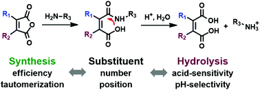 Graphical abstract: Synthesis and pH-dependent hydrolysis profiles of mono- and dialkyl substituted maleamic acids