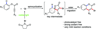 Graphical abstract: Visible-light-mediated radical cascade reaction: synthesis of 3-bromocoumarins from alkynoates