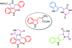 Graphical abstract: A diversity oriented synthesis of natural product inspired molecular libraries