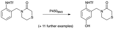 Graphical abstract: Hydroxylation of anilides by engineered cytochrome P450BM3