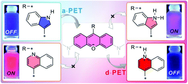 Graphical abstract: The pH-influenced PET processes between pyronine and different heterocycles