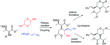 Graphical abstract: Short synthesis of polyfunctional sp3-rich threonine-derived morpholine scaffolds